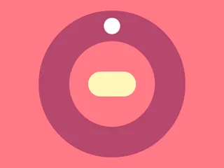 Chaotic Spin
